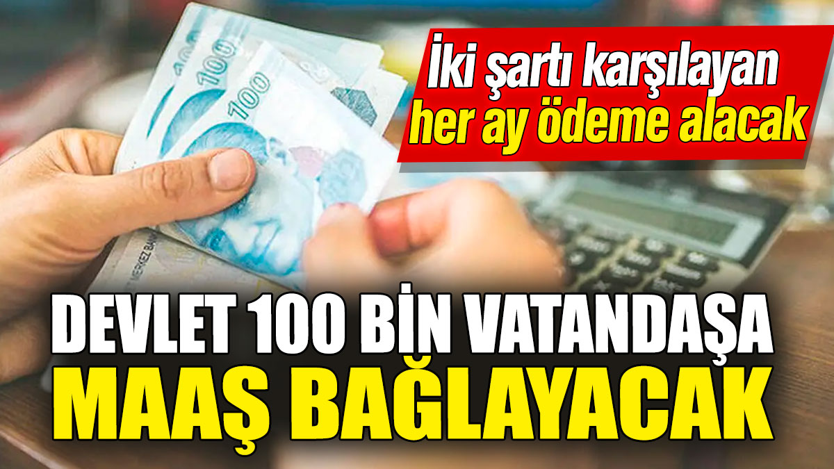 Devlet 100 bin vatandaşa maaş bağlayacak! İki şartı karşılayan her ay ödeme alacak