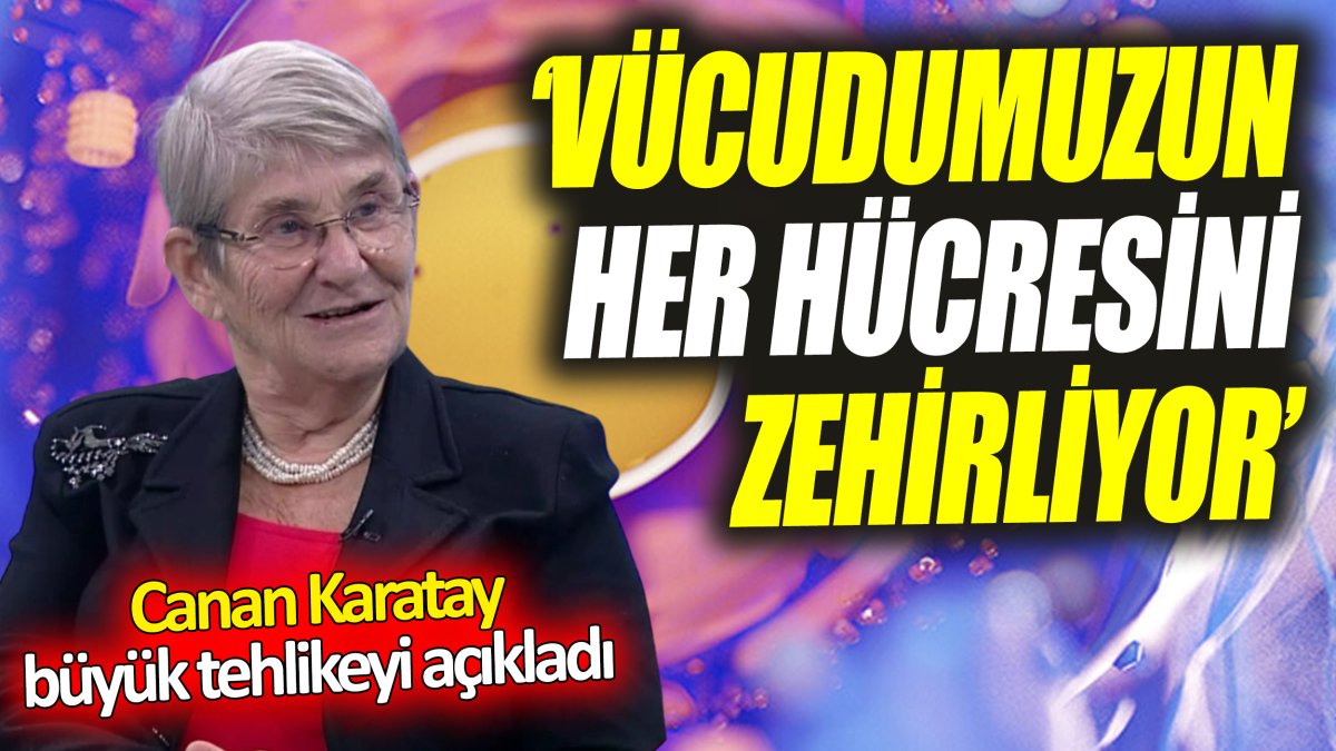 Canan Karatay: Vücudumuzun her hücresini zehirliyor