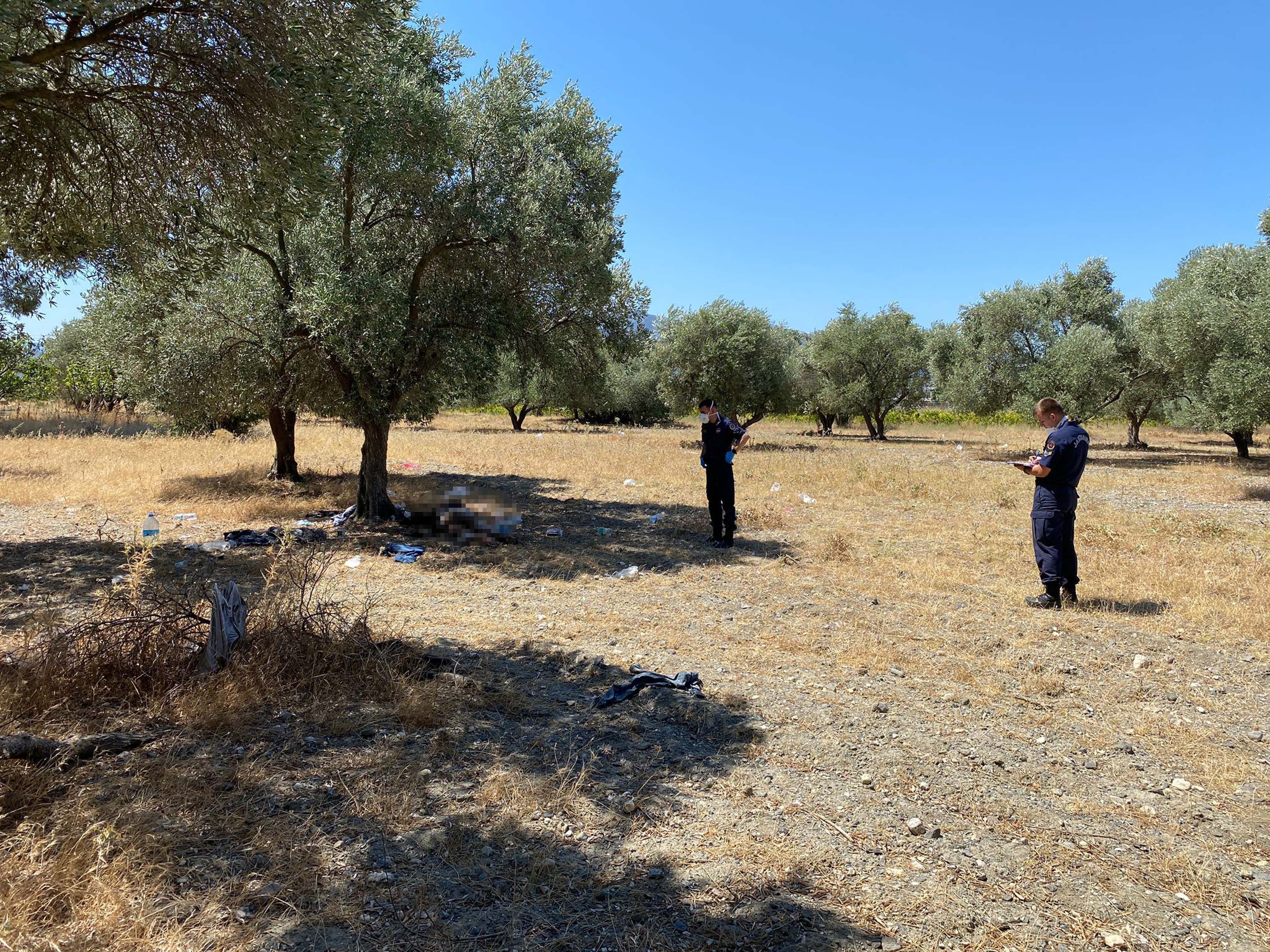 Manisa'da yaşlı adam zeytinlikte ölü bulundu