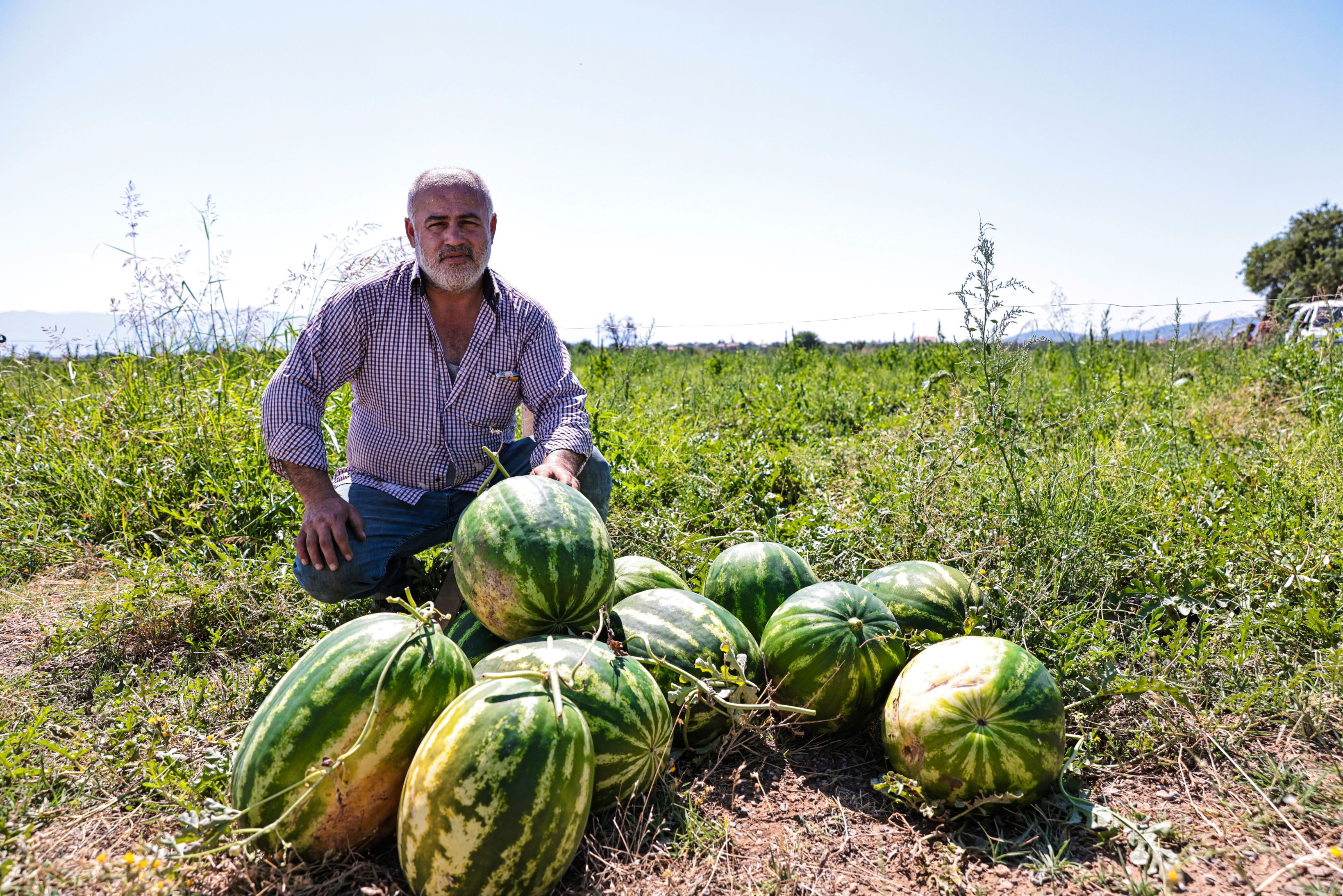 Üreticinin elinde kalan karpuzları belediye aldı