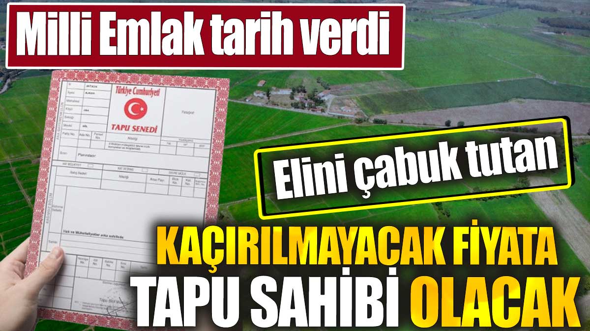 Milli Emlak tarih verdi. Elini çabuk tutan kaçırılmayacak fiyata tapu sahibi olacak