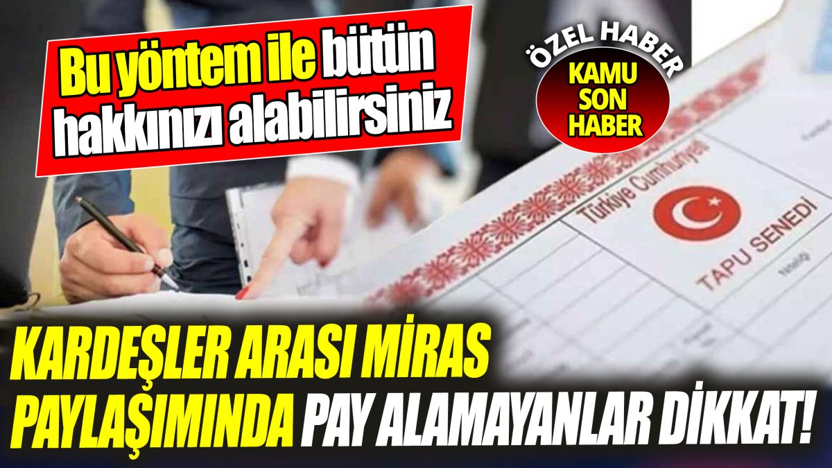 Kardeşler arası miras paylaşımında pay alamayanlar dikkat! ‘Bu yöntem ile bütün hakkınızı alabilirsiniz’