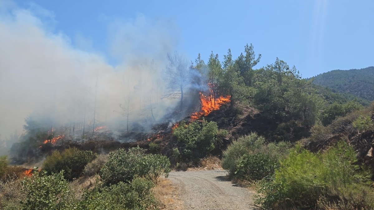 Antakya'daki orman yangını söndürüldü