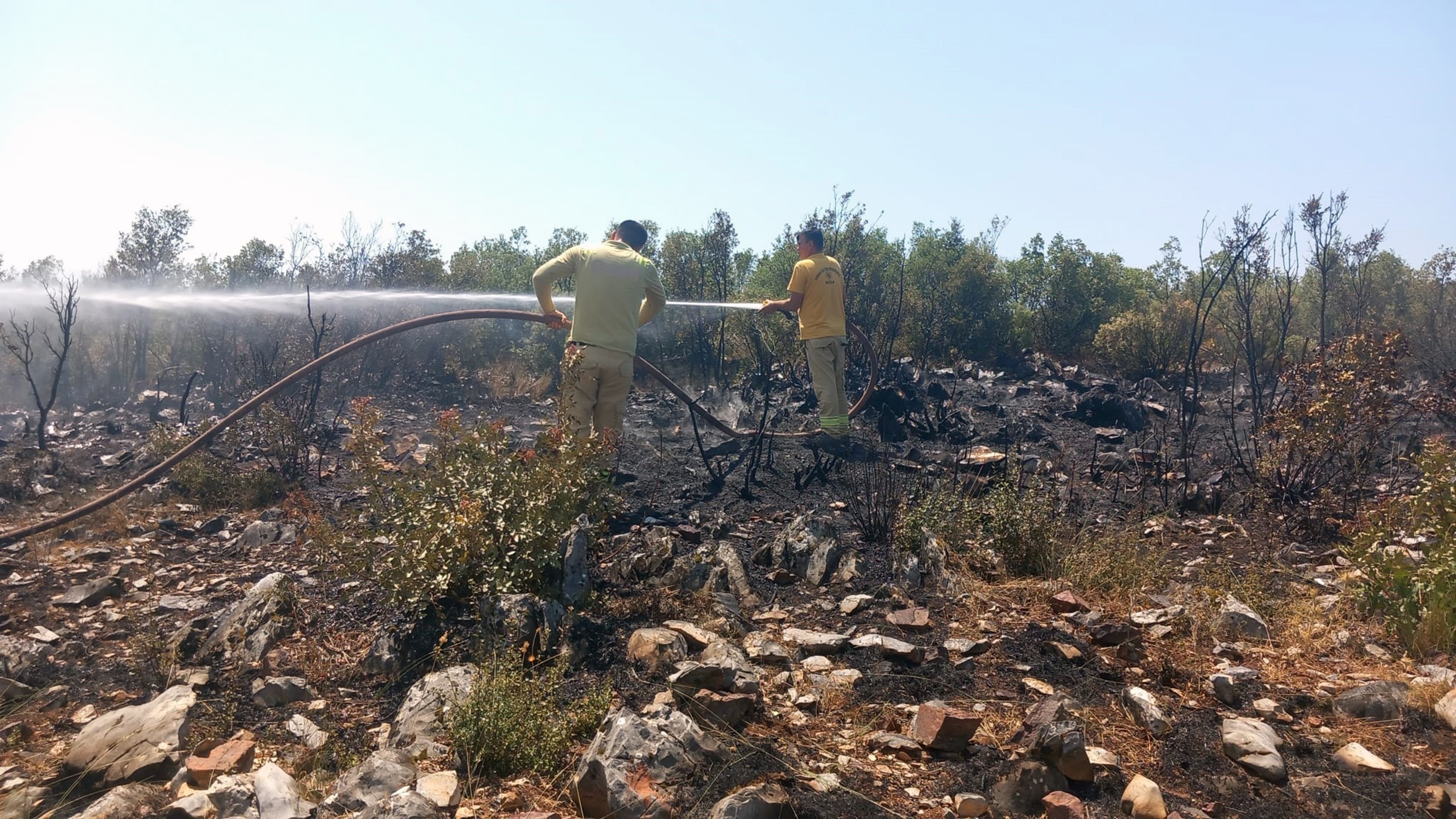 Muğla Menteşe’de çalılık yangını