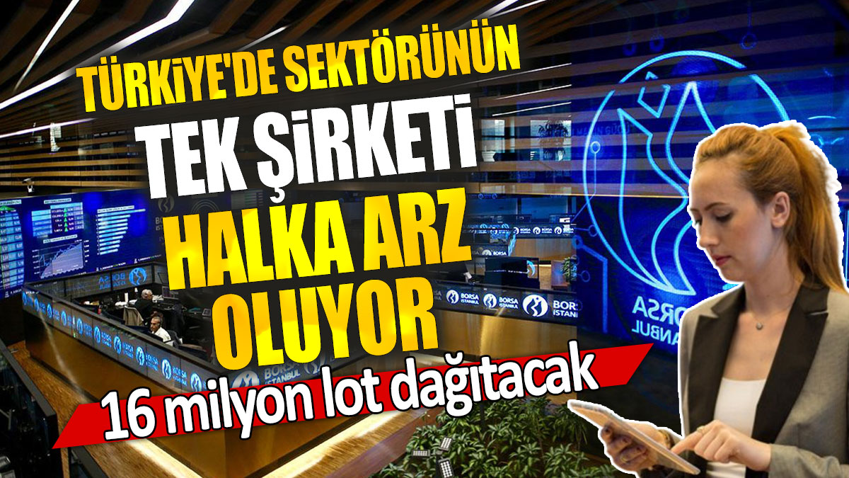 Türkiye'de sektörünün tek şirketi halka arz oluyor: 16 milyon lot dağıtacak