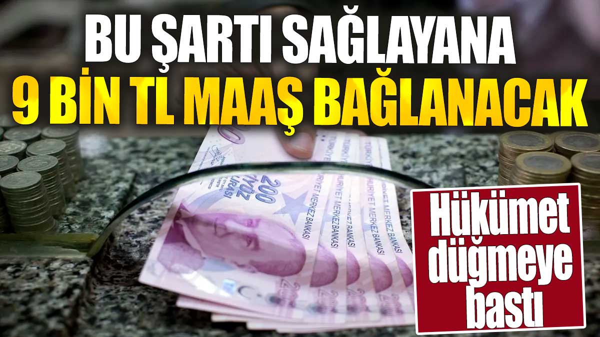 Hükümet düğmeye bastı. Bu şartı sağlayana 9 bin TL maaş bağlanacak