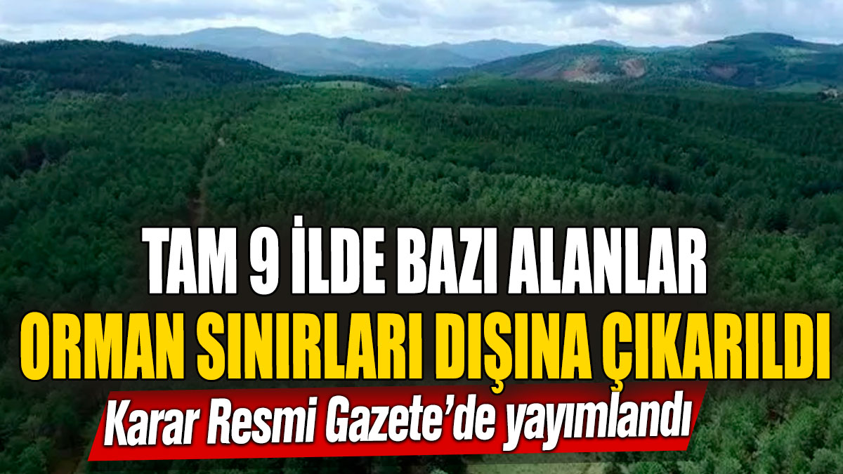 Tam 9 ilde bazı alanlar orman sınırları dışına çıkarıldı! Karar Resmi Gazete’de yayımlandı