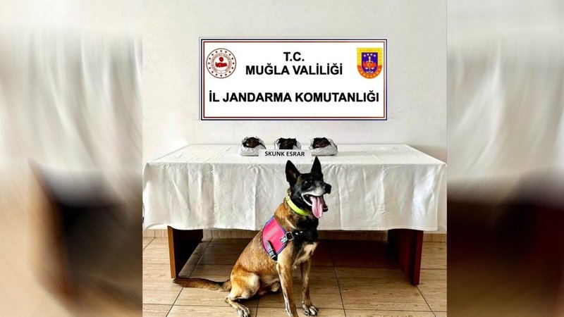 Muğla'da uyuşturucu operasyonu: 2 gözaltı