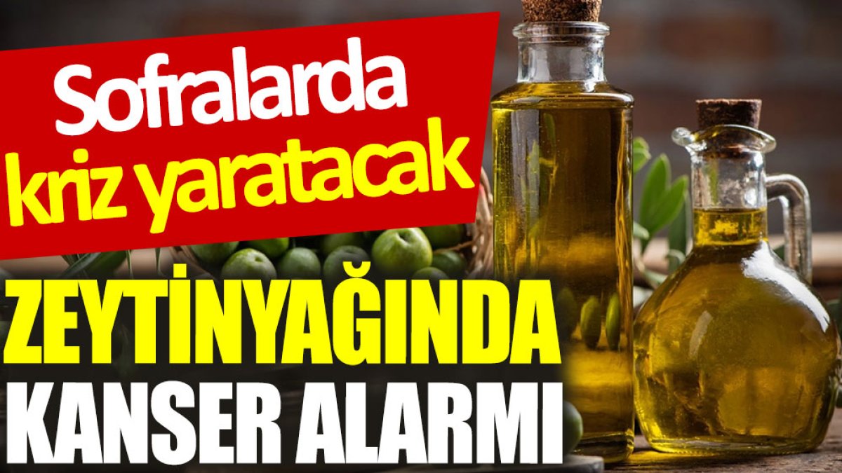 Sofralarda kriz yaratacak: Zeytinyağında kanser alarmı