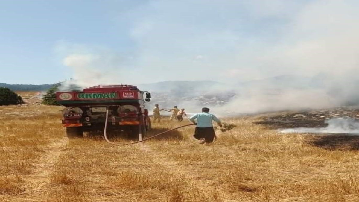 Adana'daki anız yangını ormana sıçradı