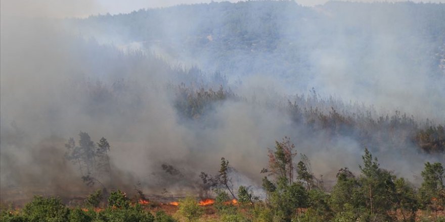 Keşan'daki orman yangını söndürüldü