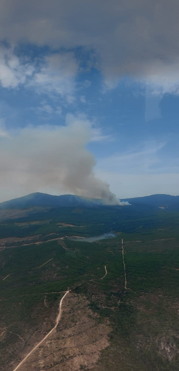 Yalova'da orman yangını