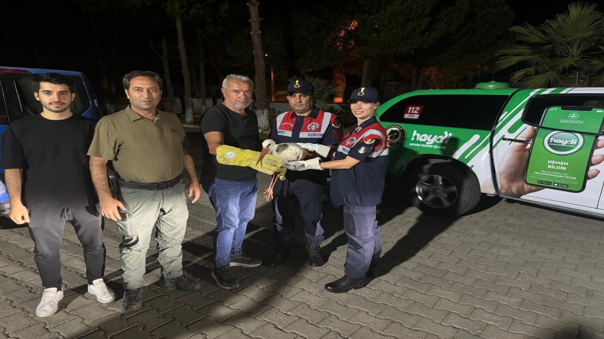 Manisa'da orman yangınında yaralanan leylek kurtarıldı