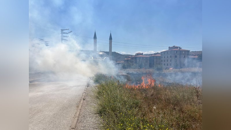 Eskişehir'de arazi yangını