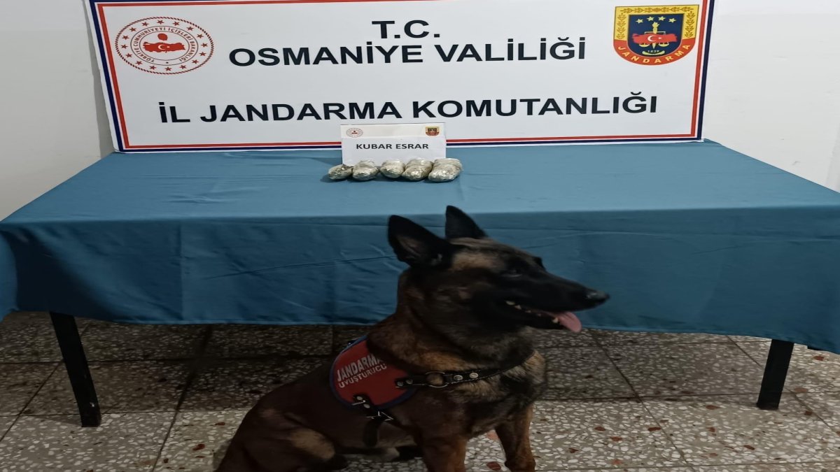 Osmaniye'de tarihi eser ve uyuşturucu operasyonu