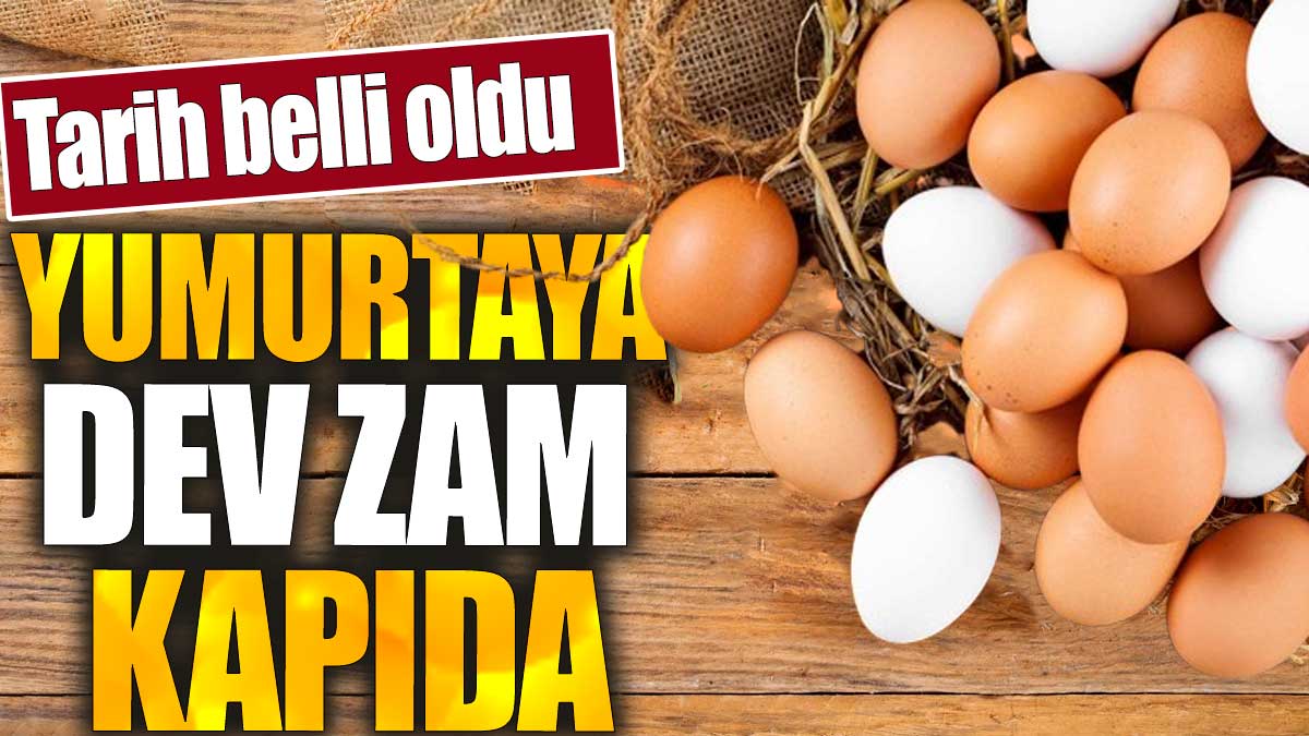 Yumurtaya dev zam kapıda. Tarih belli oldu