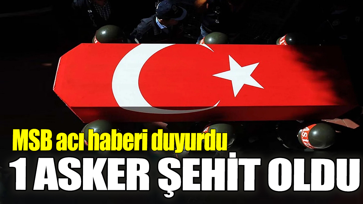 MSB acı haberi duyurdu: 1 asker şehit oldu