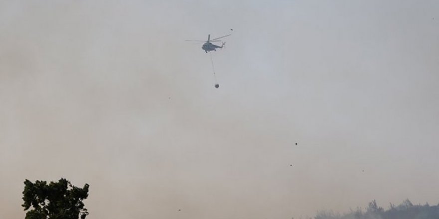 Soma'da orman yangını