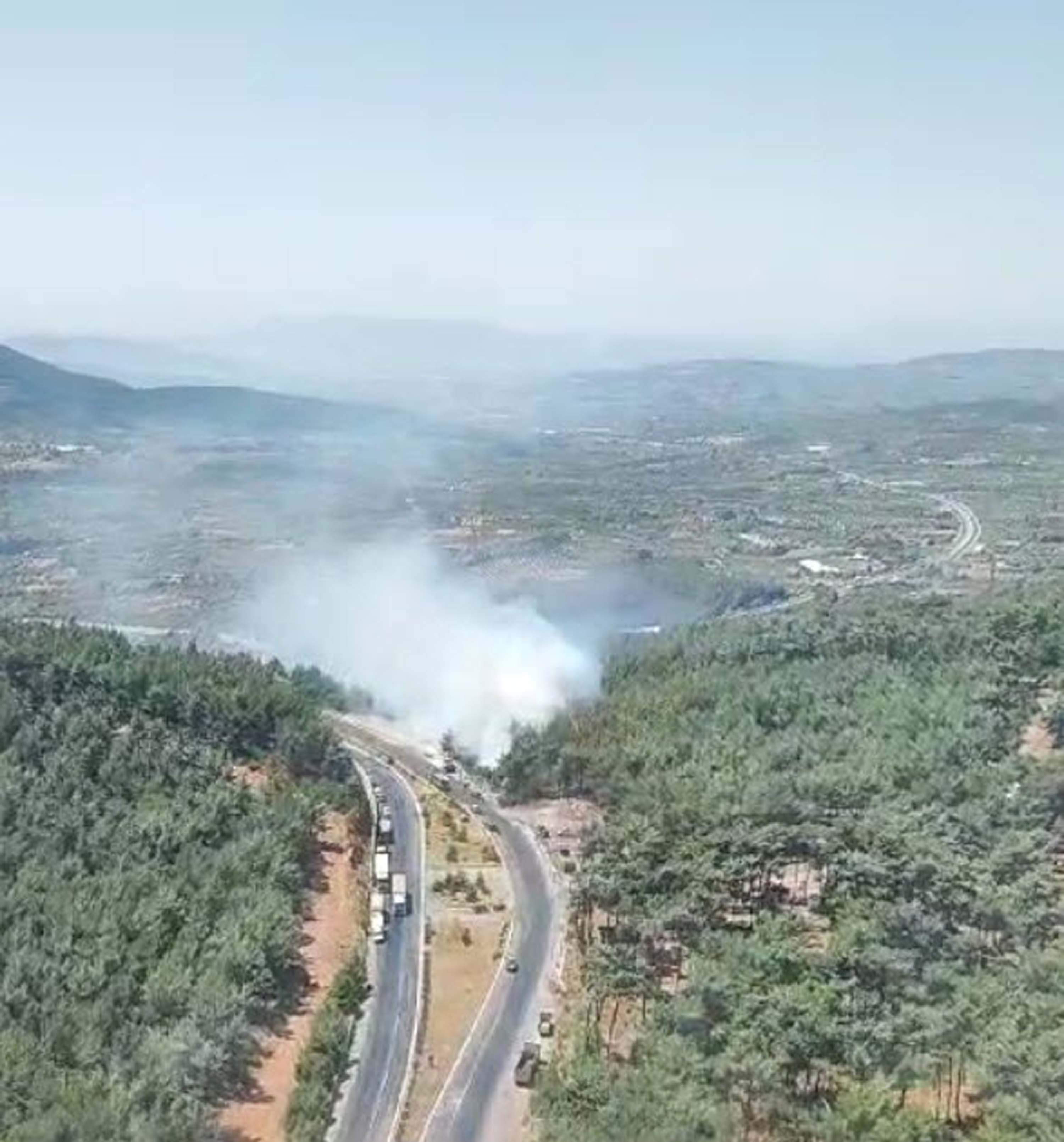 İzmir'de orman yangını