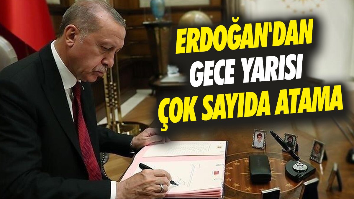 Erdoğan'dan gece yarısı çok sayıda atama 'Resmi Gazete'de yayımlandı'