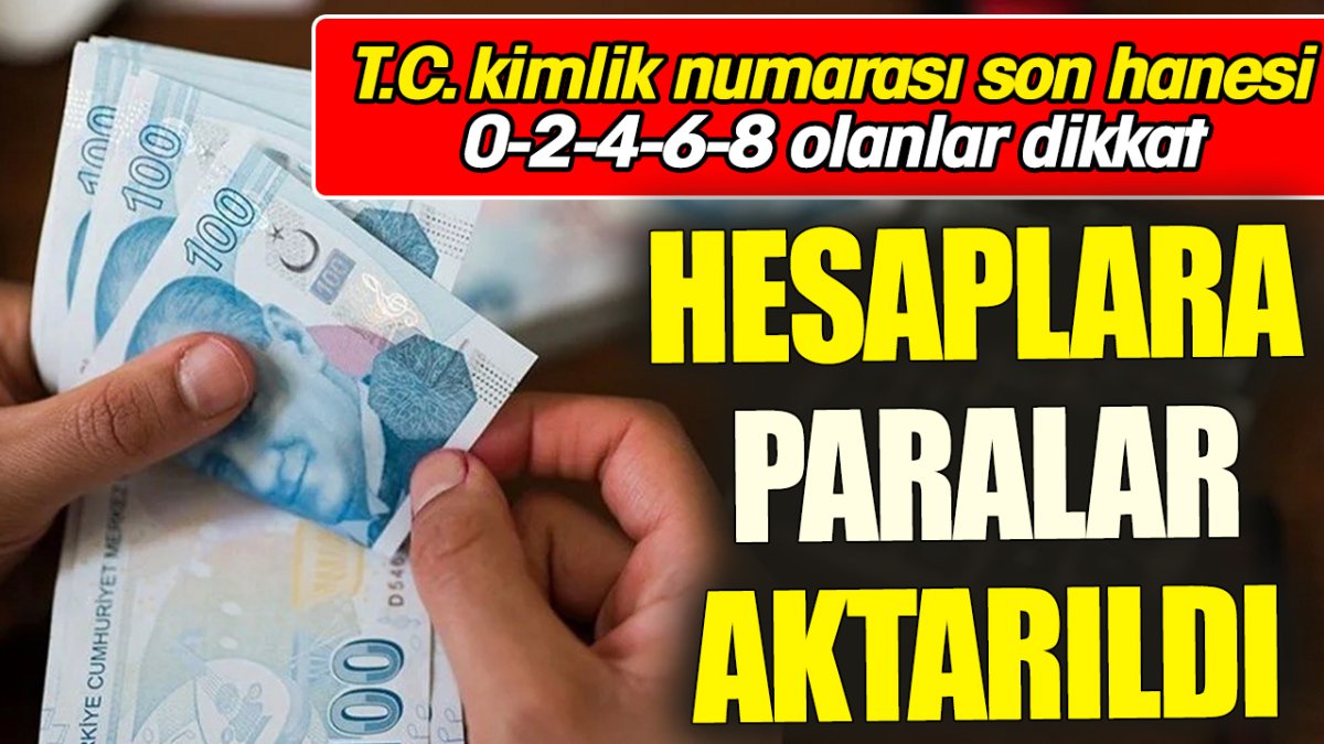 T.C. kimlik numarası son hanesi 0-2-4-6-8 olanlar dikkat 'Hesaplara paralar aktarıldı '