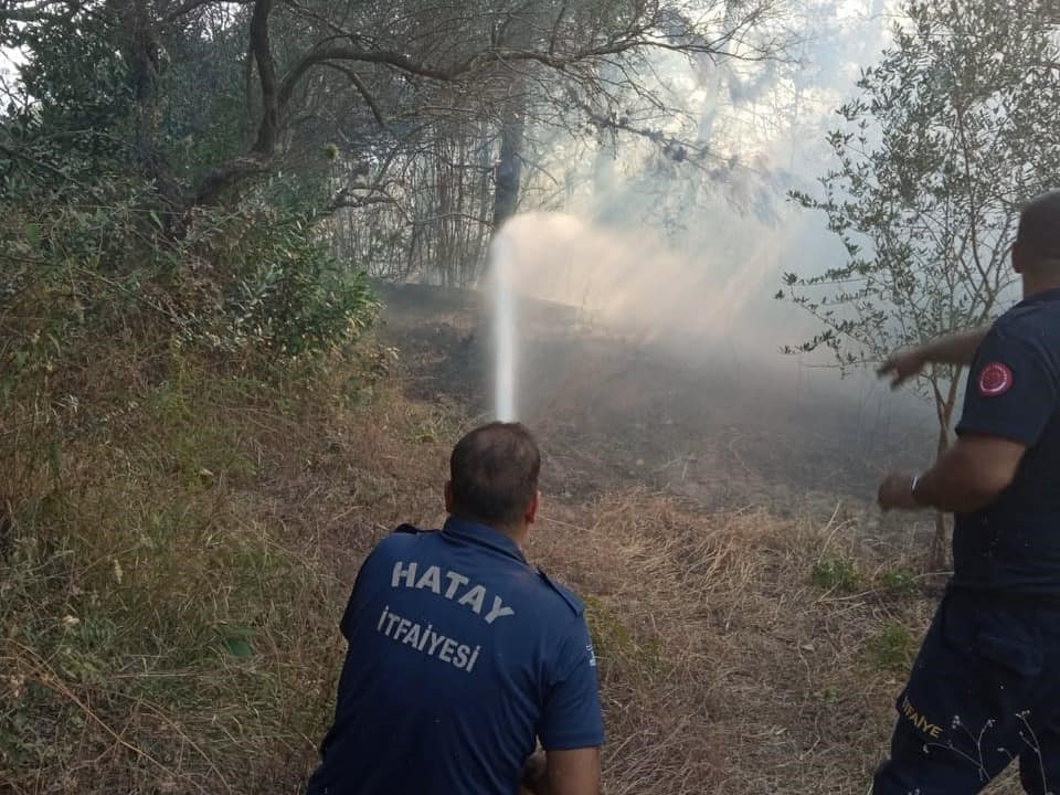 Defne’de zeytinlik yangını