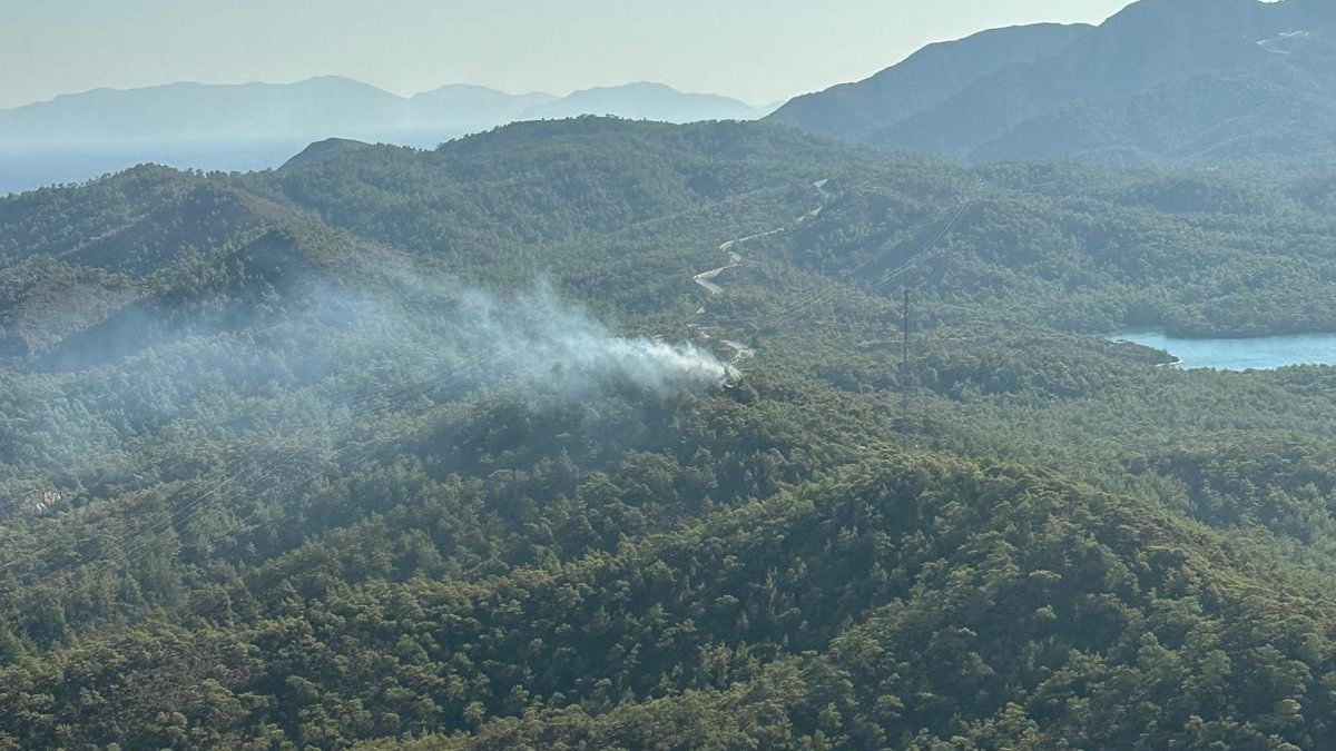 Muğla'da orman yangını