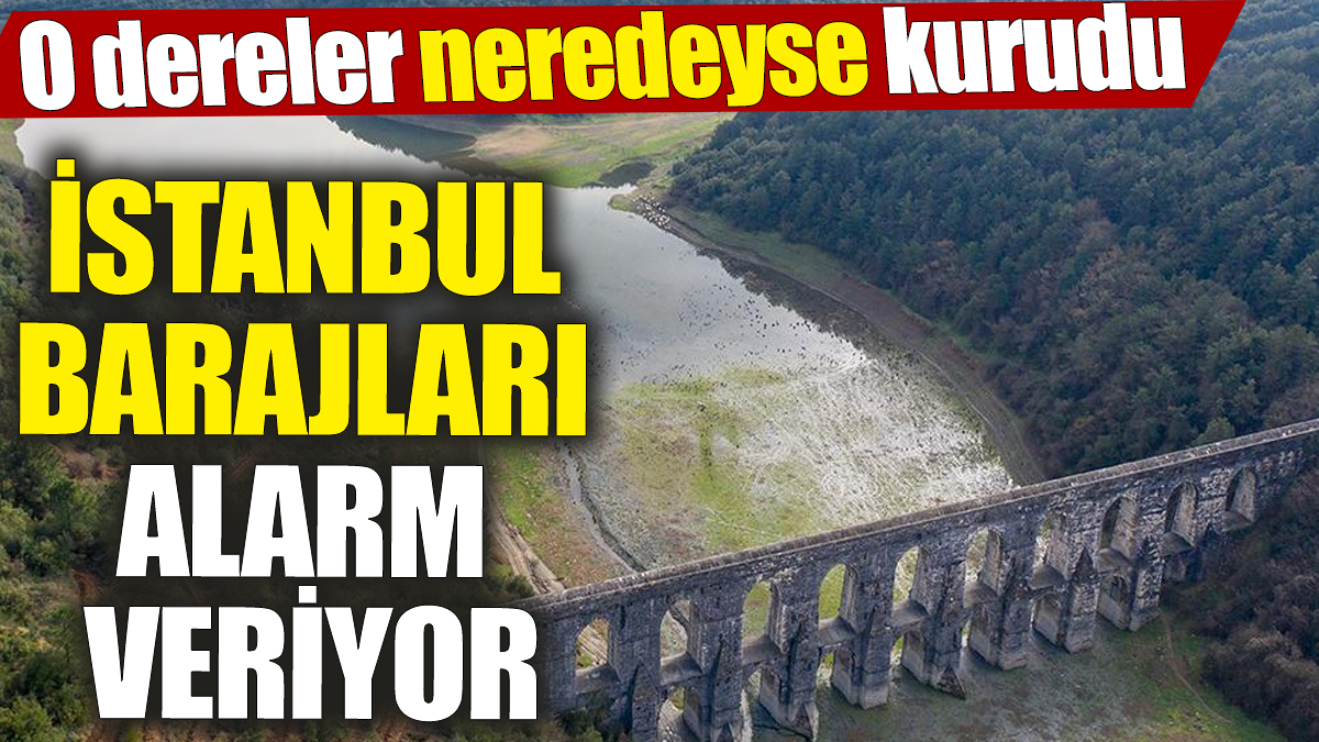 İstanbul barajları alarm veriyor! O dereler neredeyse kurudu