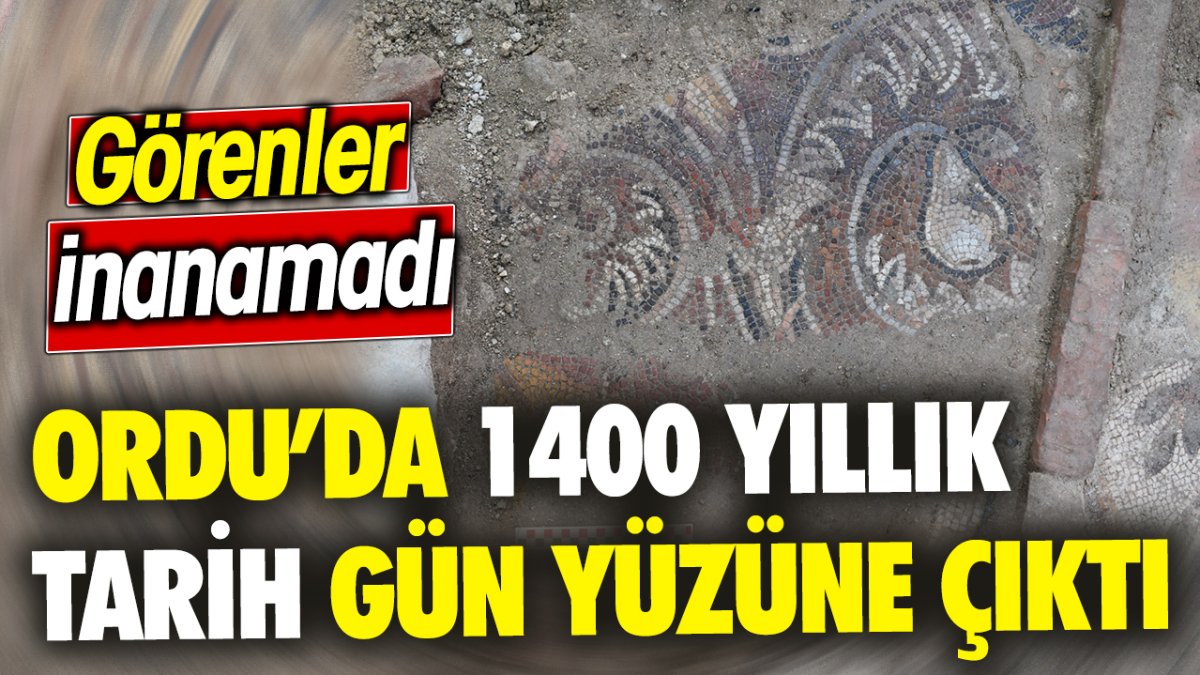 Ordu’da 1400 yıllık tarih gün yüzüne çıktı ‘Görenler inanamadı’