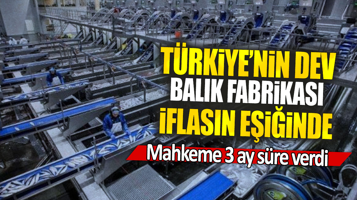 Türkiye’nin dev balık fabrikası iflasın eşiğinde: Mahkemeye 3 ay süre verdi