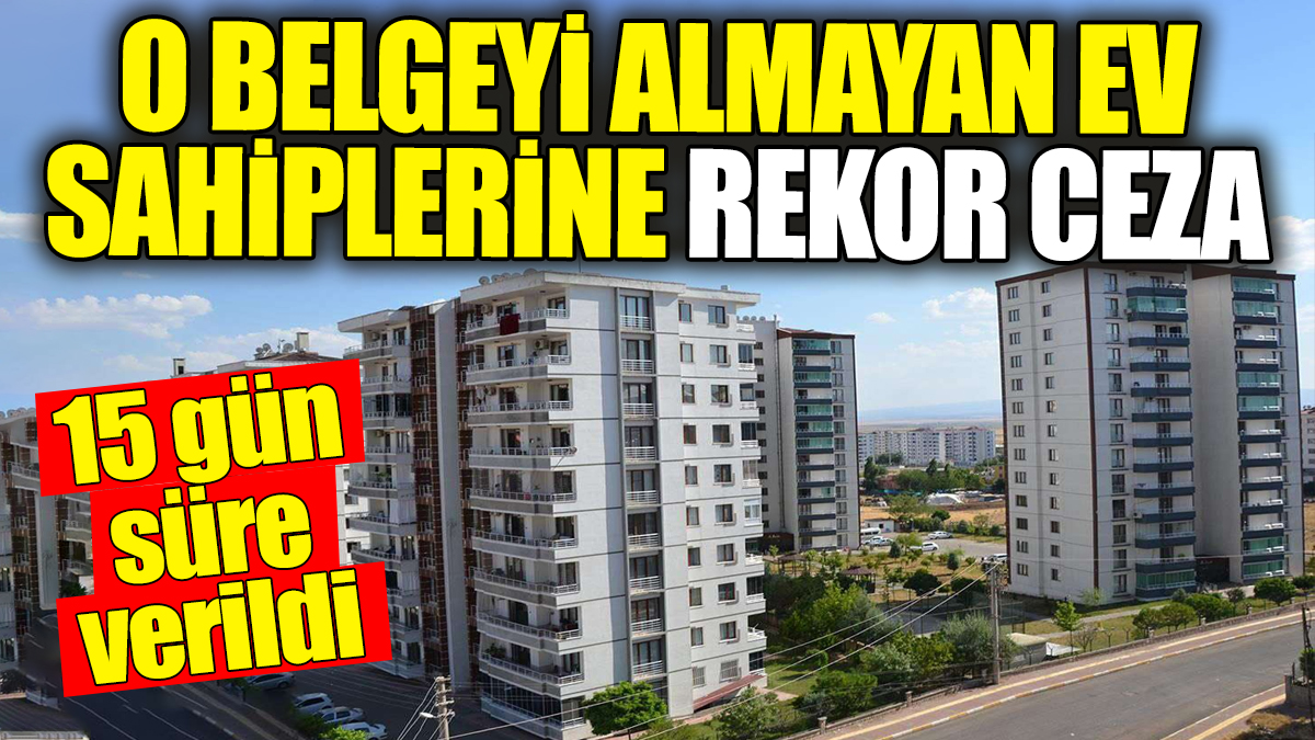 O belgeyi almayan ev sahiplerine rekor ceza kesilecek: 15 gün süre verildi