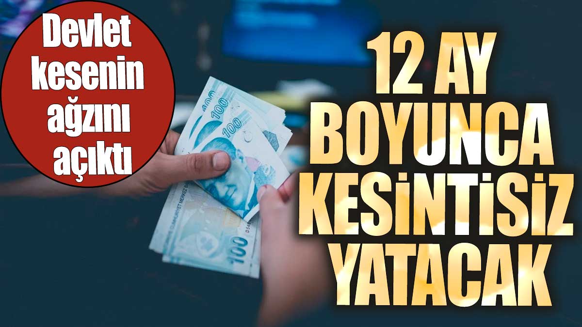 Devlet kesenin ağzını açıktı: 12 ay boyunca kesintisiz yatacak