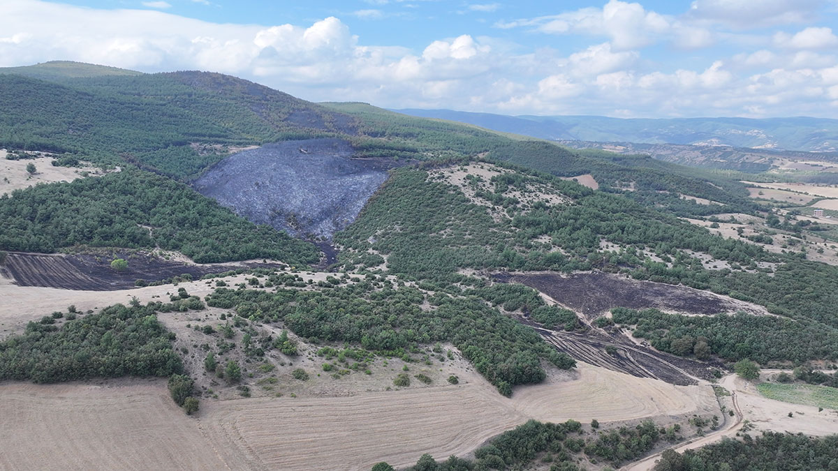 Tokat'ta orman yangını