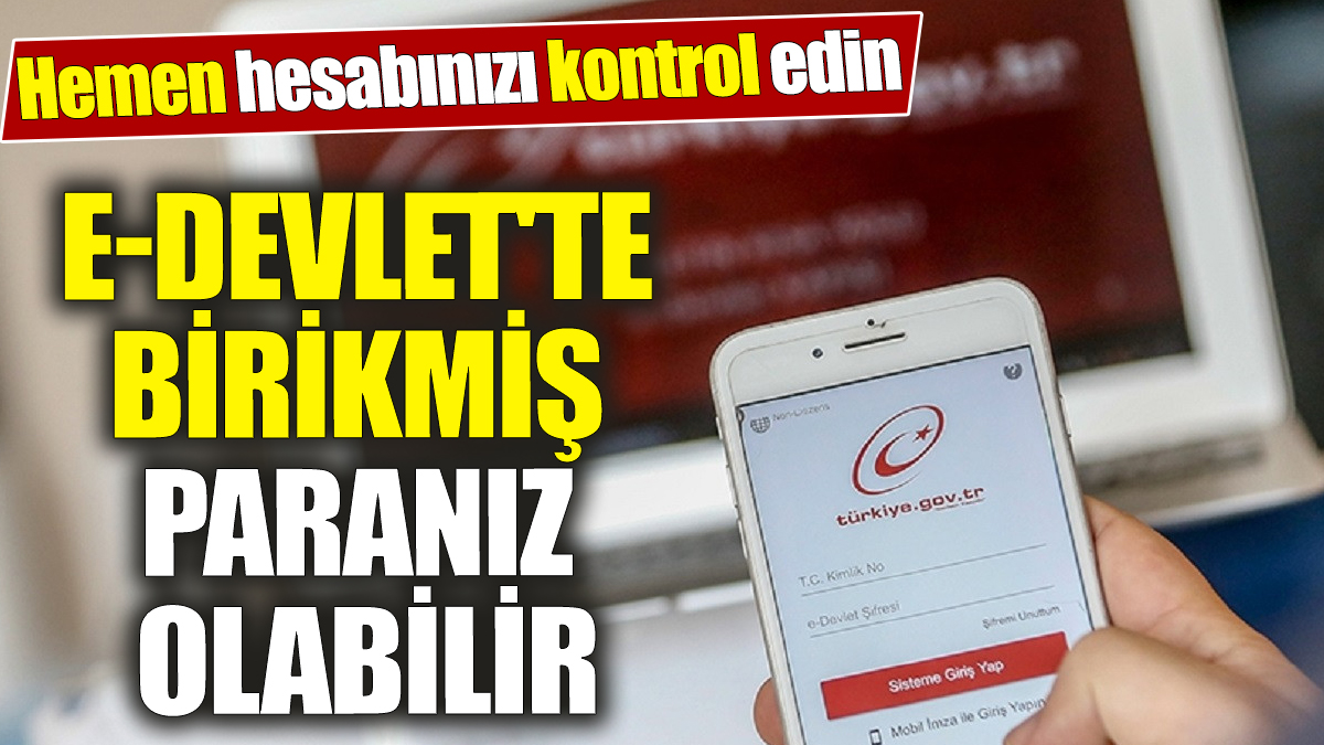 e-Devlet'te birikmiş paranız olabilir! Hemen hesabınızı kontrol edin