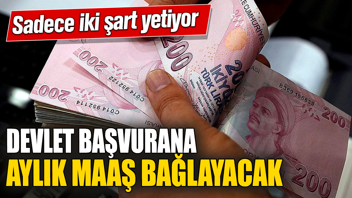 Devlet başvurana aylık maaş bağlayacak! Sadece iki şart yetiyor