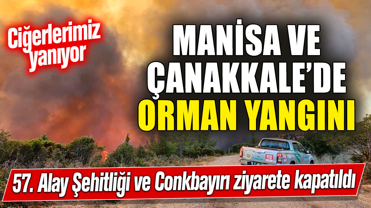 Manisa ve Çanakkale’de orman yangını: 57. Alay Şehitliği ve Conkbayırı ziyarete kapatıldı