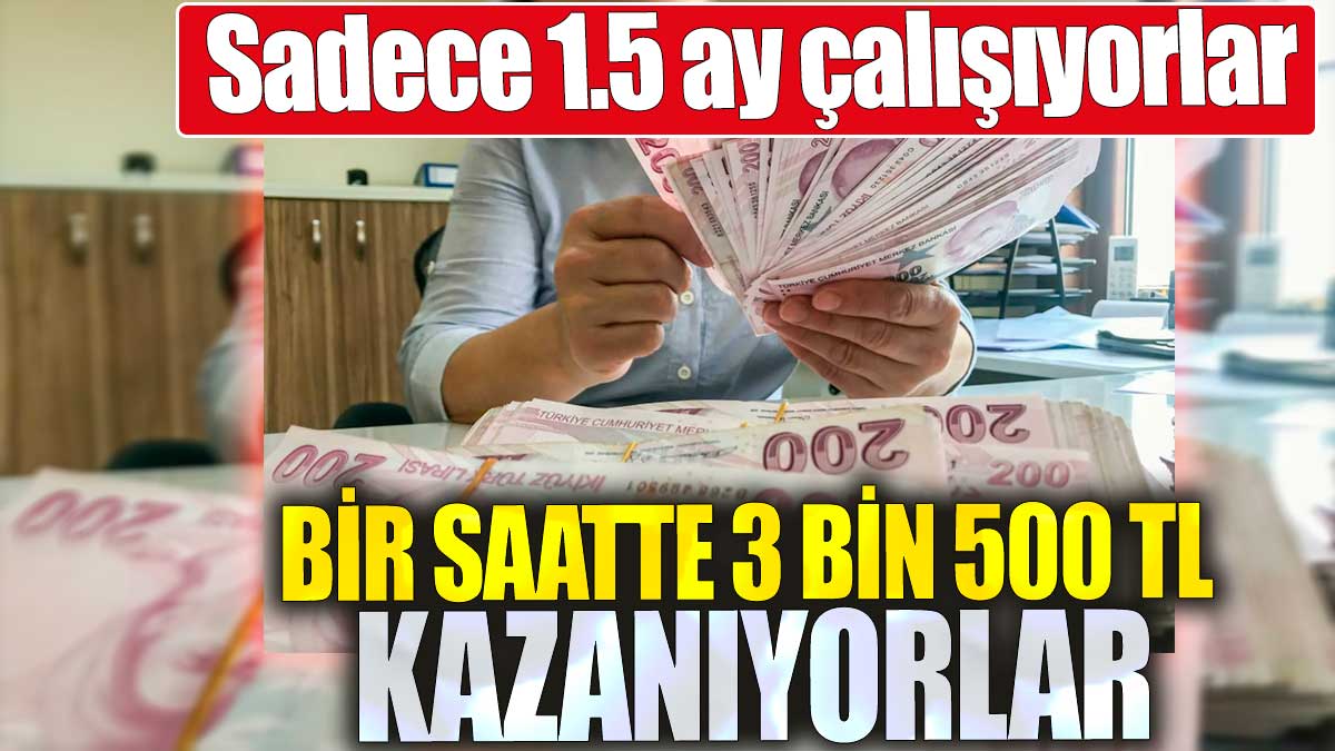 Bir saatte 3 bin 500 TL kazanıyorlar. Sadece 1.5 ay çalışıyorlar