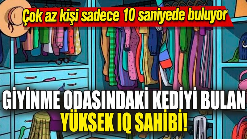 Giyinme odasındaki kediyi bulan yüksek IQ sahibi! Çok az kişi sadece 10 saniyede buluyor