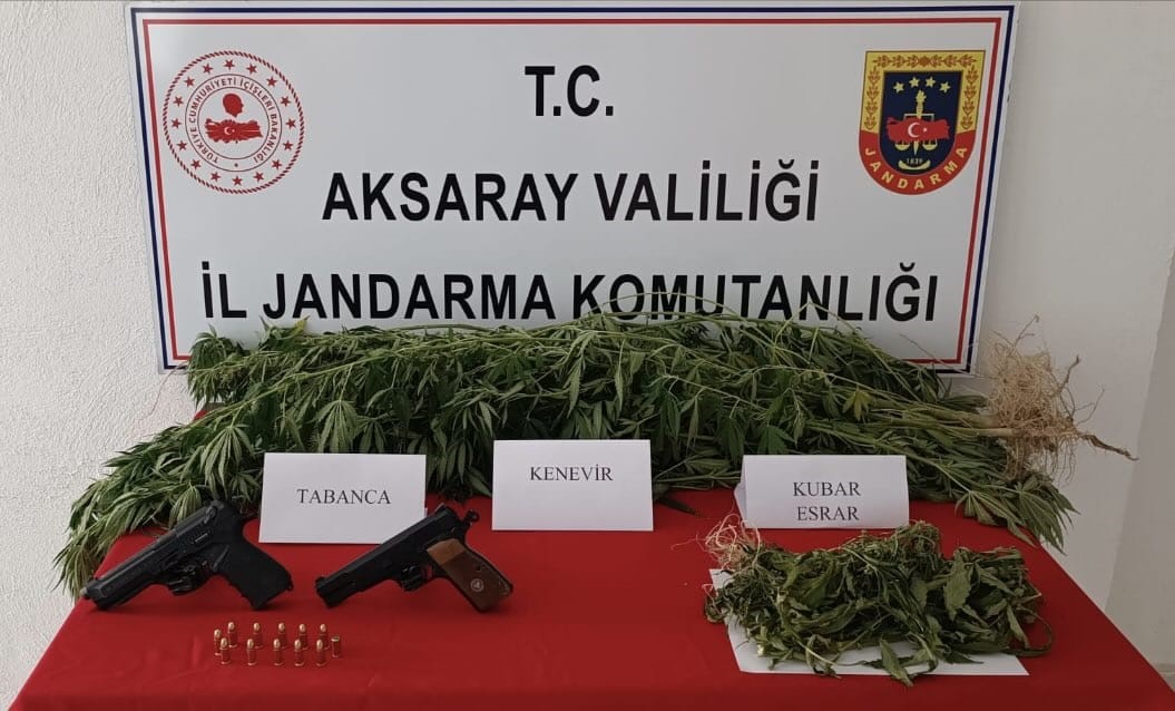 Aksaray'da yasa dışı kenevir üretimine operasyon