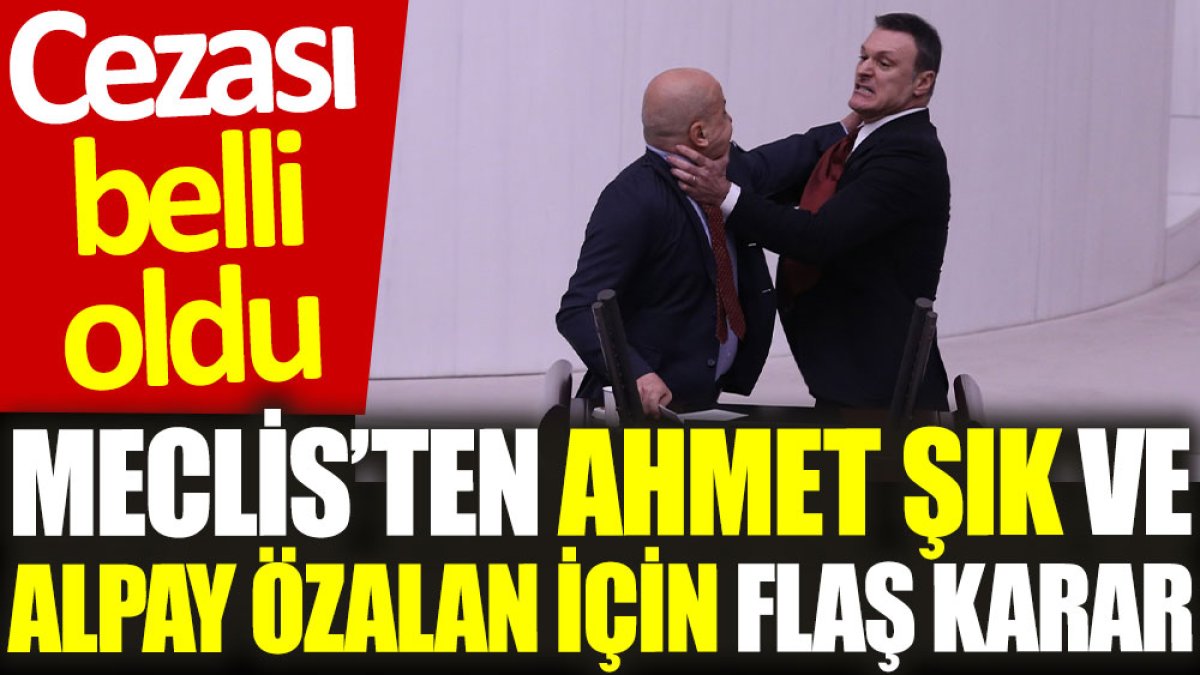 Meclis’ten Ahmet Şık ve Alpay Özalan için flaş karar: Cezası belli oldu