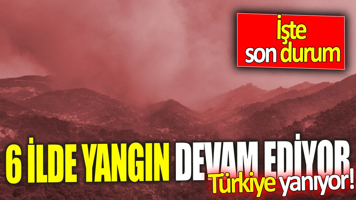 Türkiye yanıyor! 6 İlde yangın devam ediyor 'İşte son durum'