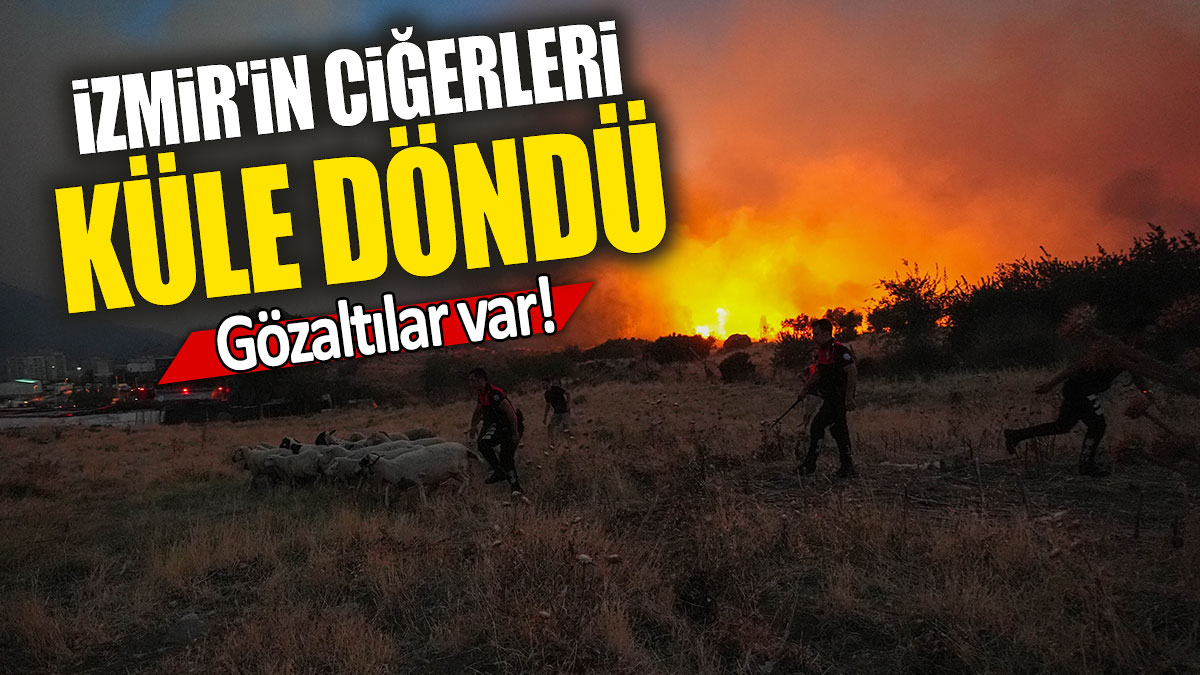 İzmir'in ciğerleri küle döndü: Gözaltılar var