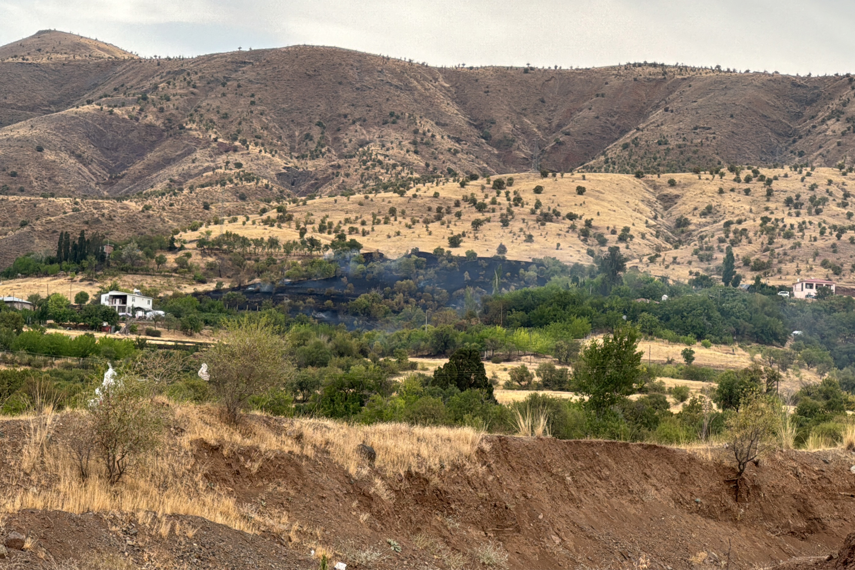 Elazığ’da  150 dönüm arazi küle döndü