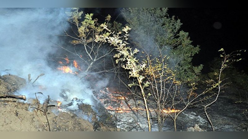 Malkara'da ormanlık alanda yangın