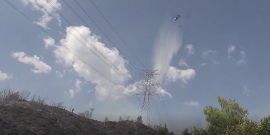 Hatay'da orman yangını