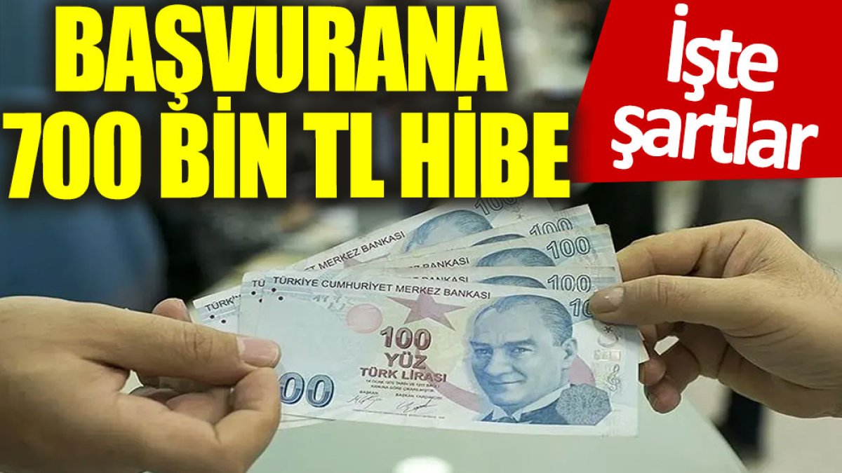 Başvurana 700 bin TL hibe verilecek: İşte şartlar