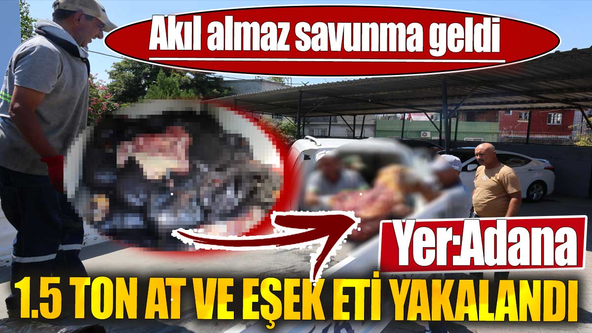 1.5 ton at ve eşek eti yakalandı. Akıl almaz savunma geldi