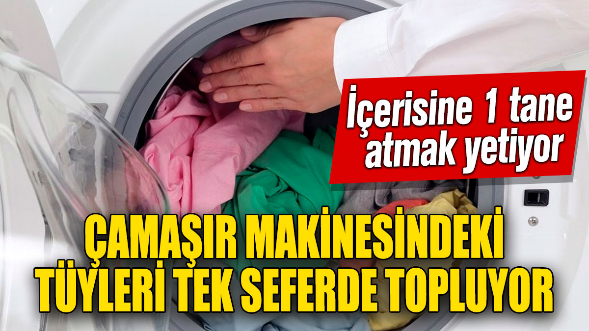 Çamaşır makinesindeki tüyleri tek seferde topluyor! İçerisine 1 tane atmak yetiyor