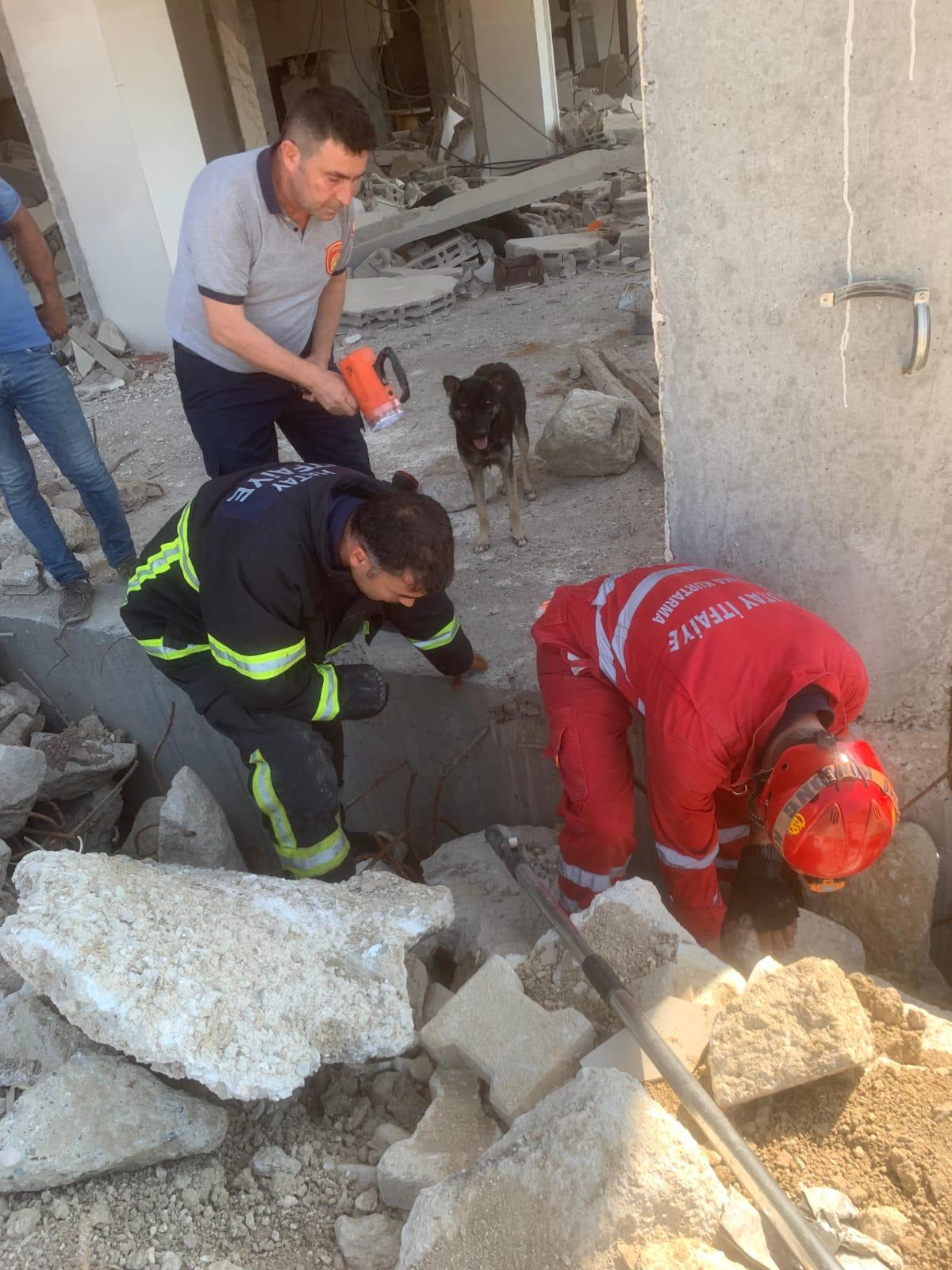 Hatay'da hasarlı evin yıkıntısında mahsur kalan yavru köpekler kurtarıldı