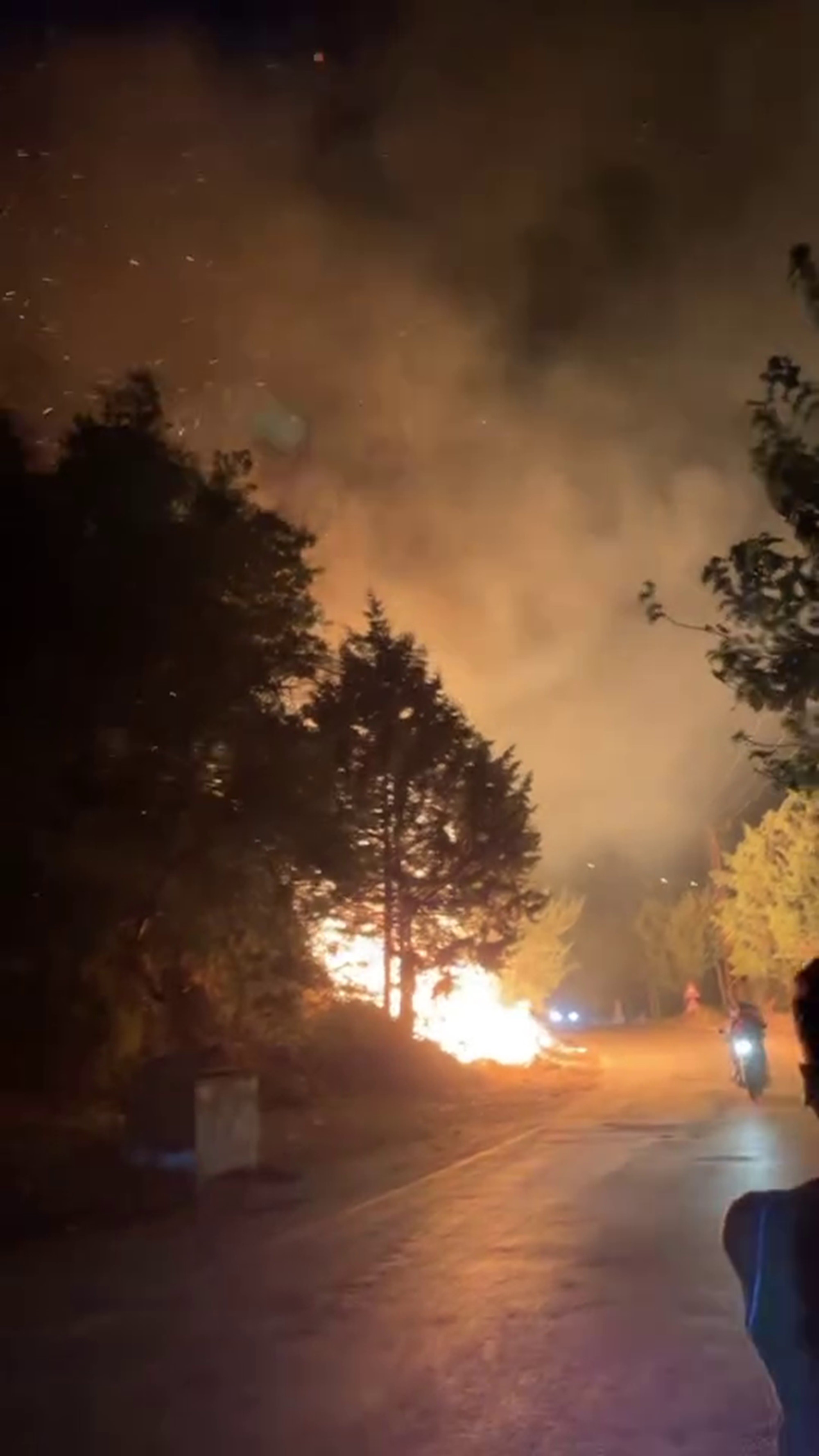 Hatay’da ağaçlık alandaki yangın kısa sürede kontrol altına alındı